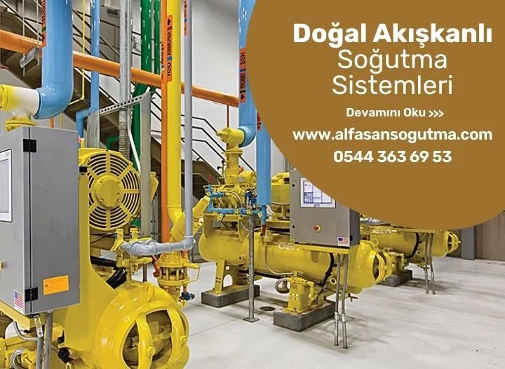 Doğal Akışkanlı Soğutma Sistemleri