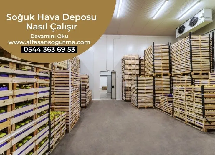 Soğuk Hava Deposu Nasıl Çalışır?