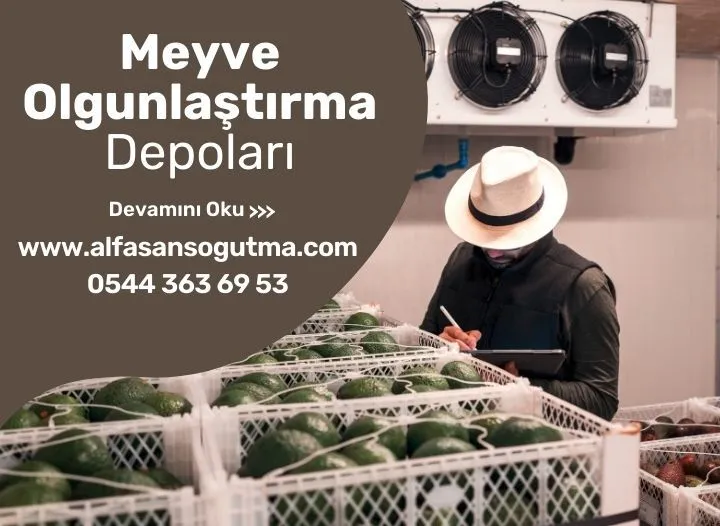 Meyve Olgunlaştırma Depoları