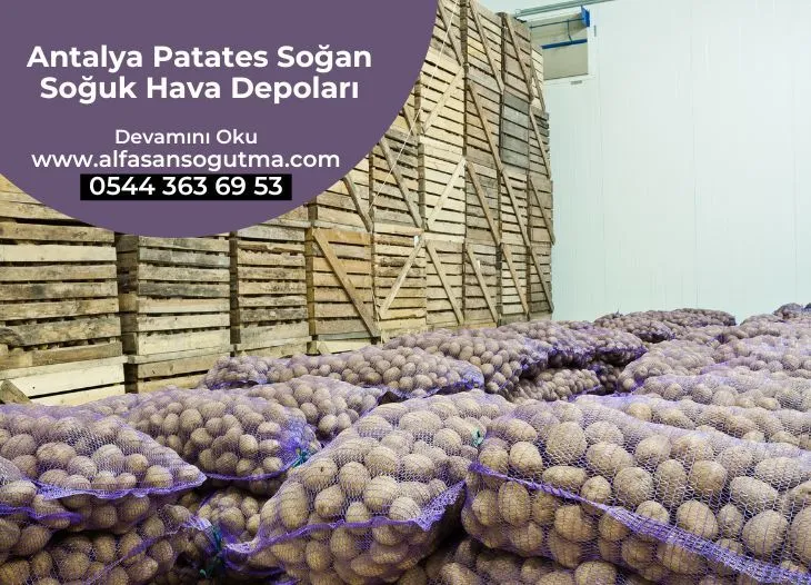 Antalya Patates Soğan Soğuk Hava Depoları