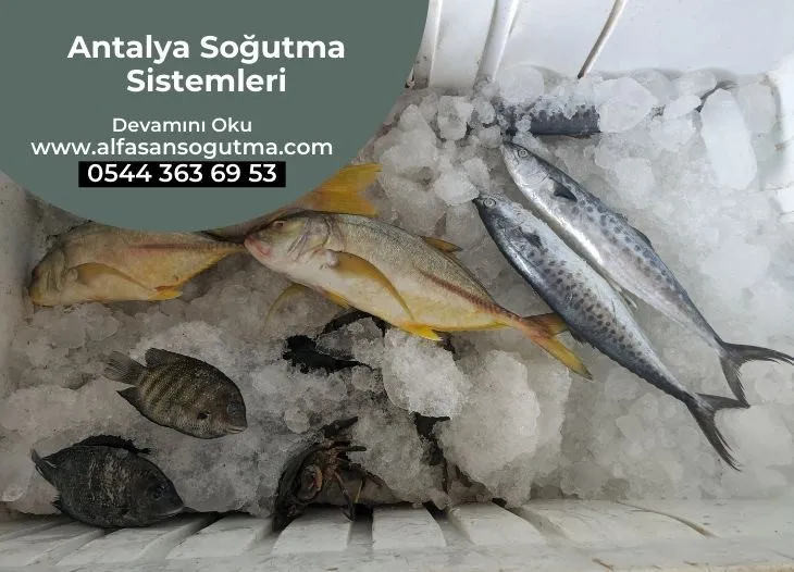 Antalya Soğutma Sistemleri