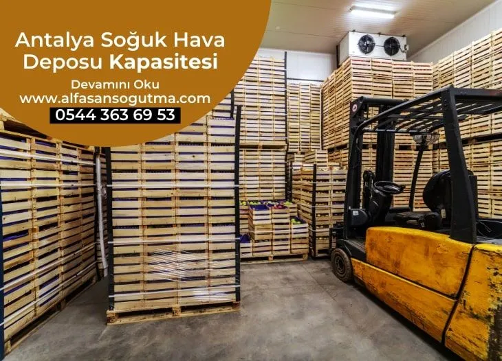 Antalya Soğuk Hava Deposu Kapasitesi