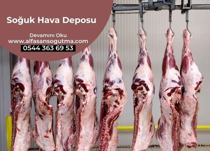 Tunceli Soğuk Hava Deposu