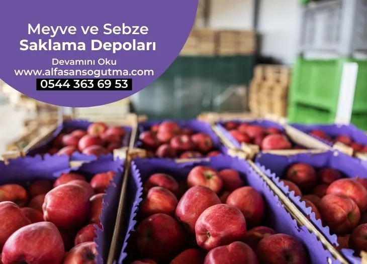 Antalya Meyve ve Sebze Saklama Depoları