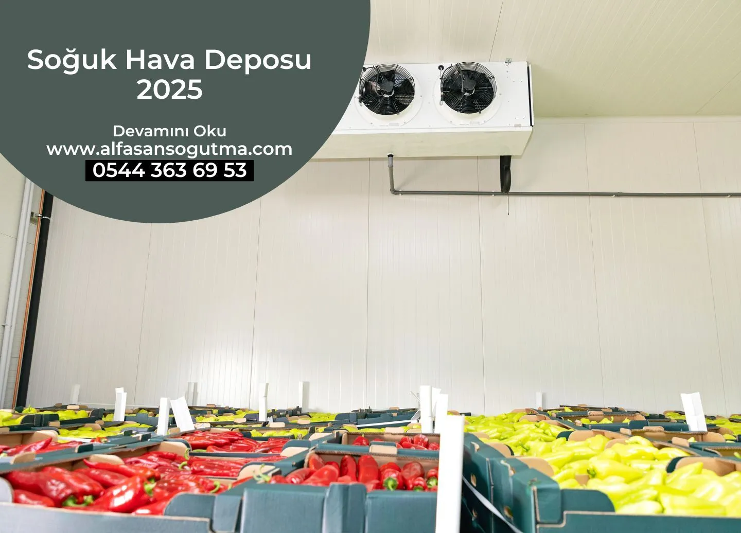 Soğuk Hava Deposu 2025