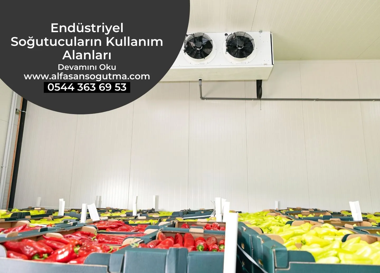 Endüstriyel Soğutucuların Kullanım Alanları