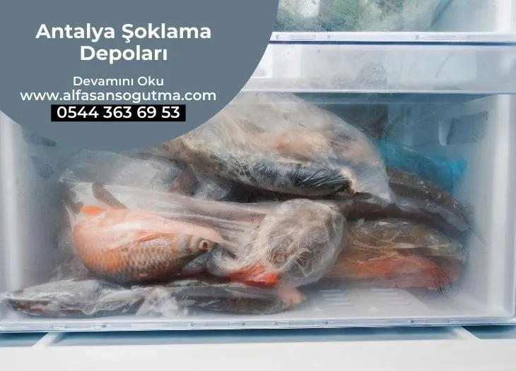 Antalya Şoklama Depoları