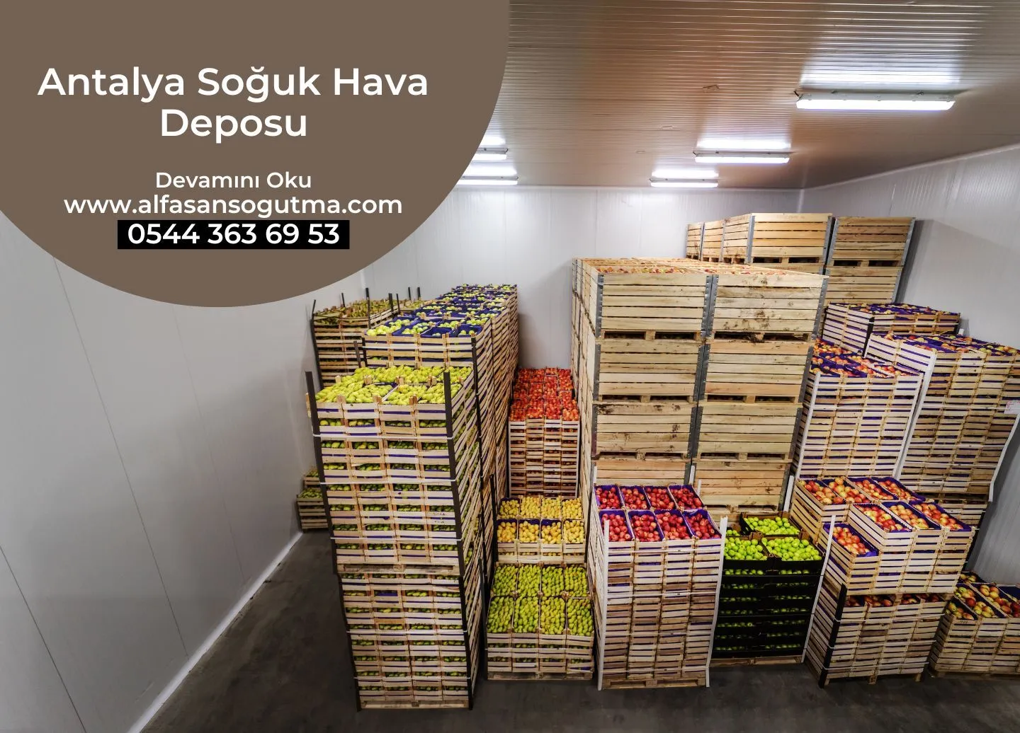 Antalya Soğuk Hava Deposu