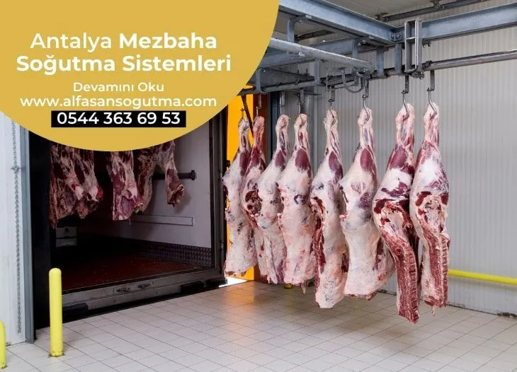 Antalya Mezbaha Soğutma Sistemleri