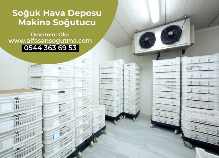 Soğuk Hava Deposu Makina Soğutucu