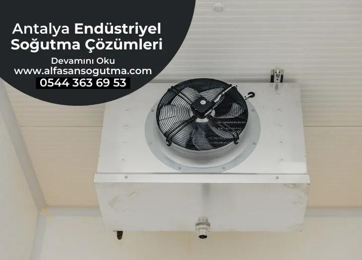 Antalya Endüstriyel Soğutma Çözümleri