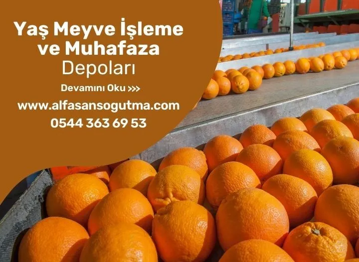 Yaş Meyve İşleme ve Muhafaza Depoları