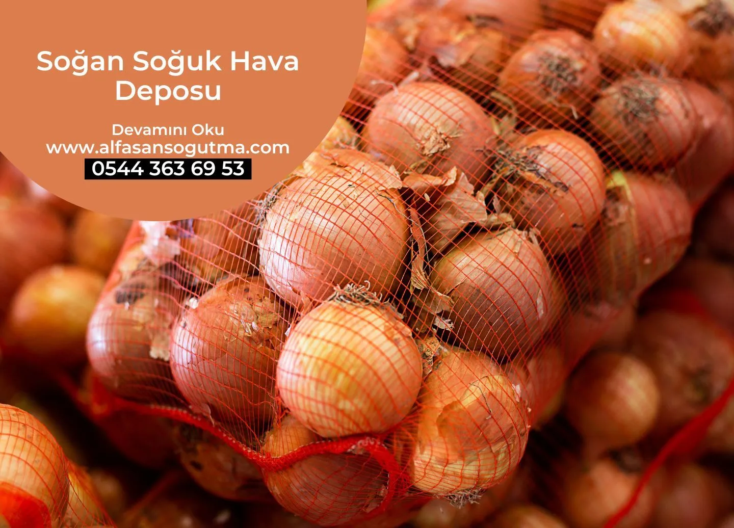 Soğan Soğuk Hava Deposu