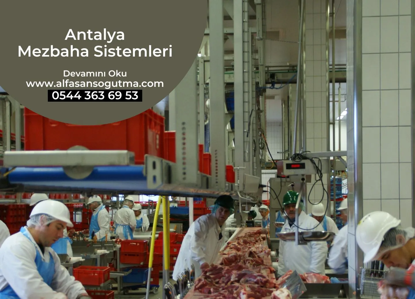 Antalya Mezbaha Sistemleri