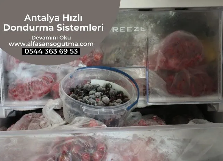 Antalya Hızlı Dondurma Sistemleri