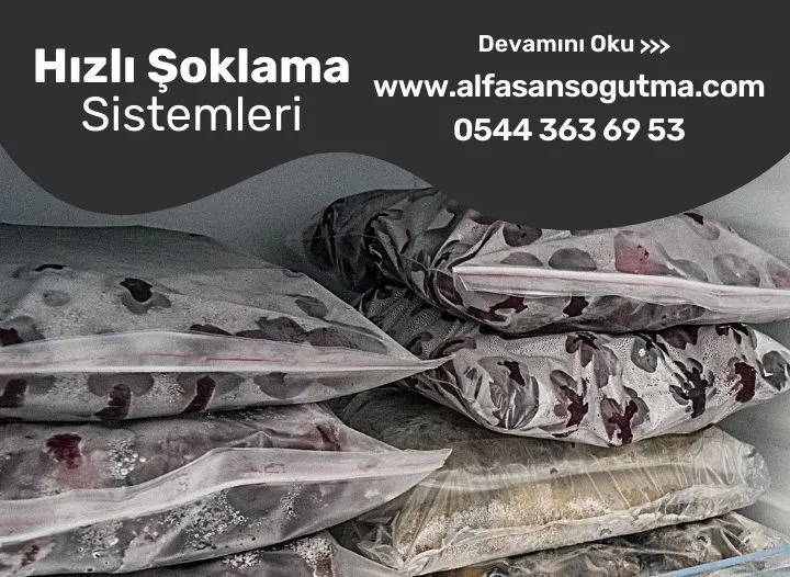 Hızlı Şoklama Sistemleri