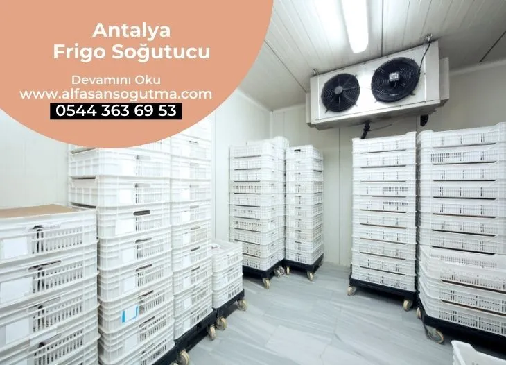 Antalya Frigo Soğutucu