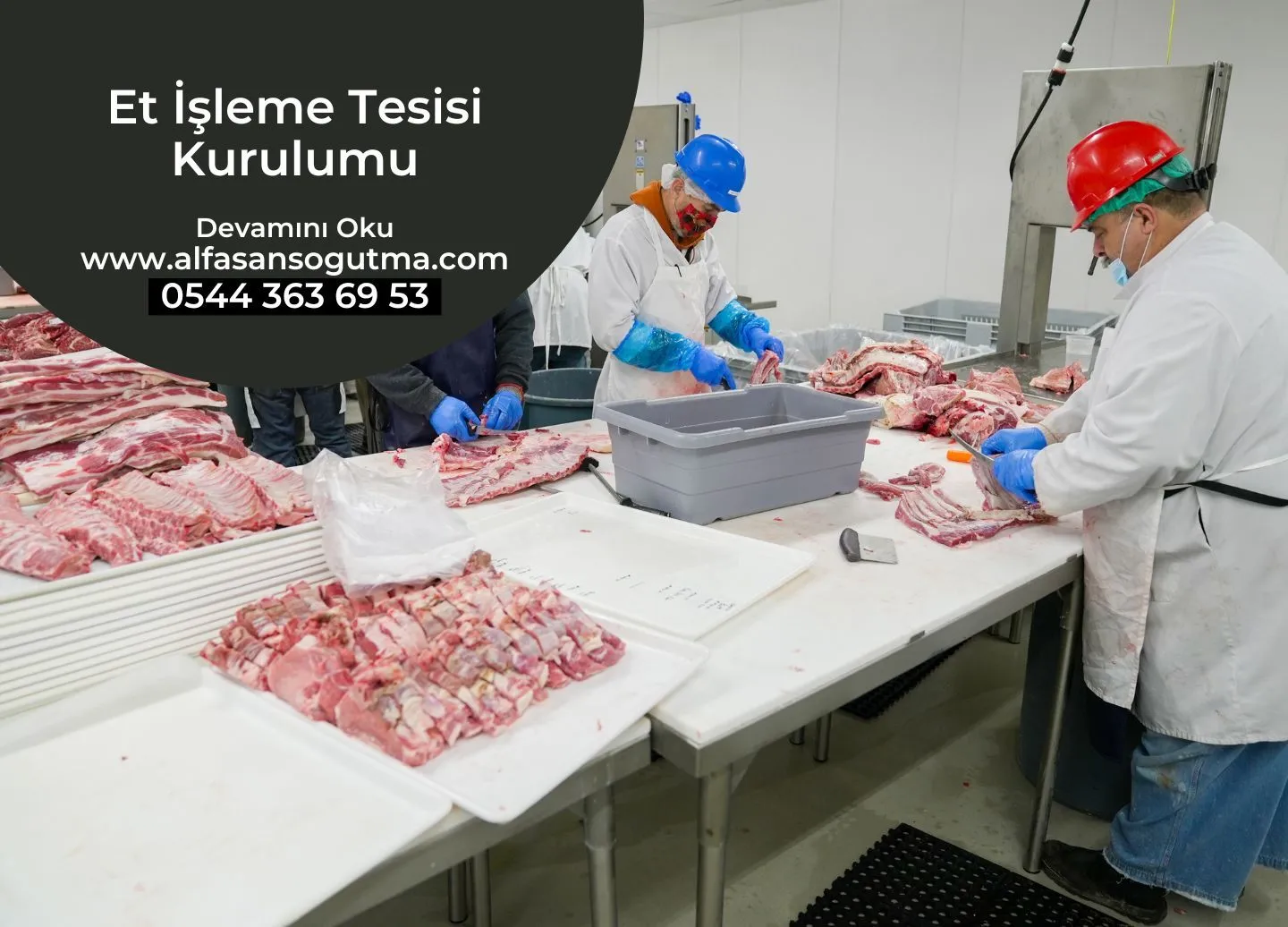 Et İşleme Tesisi Kurulumu