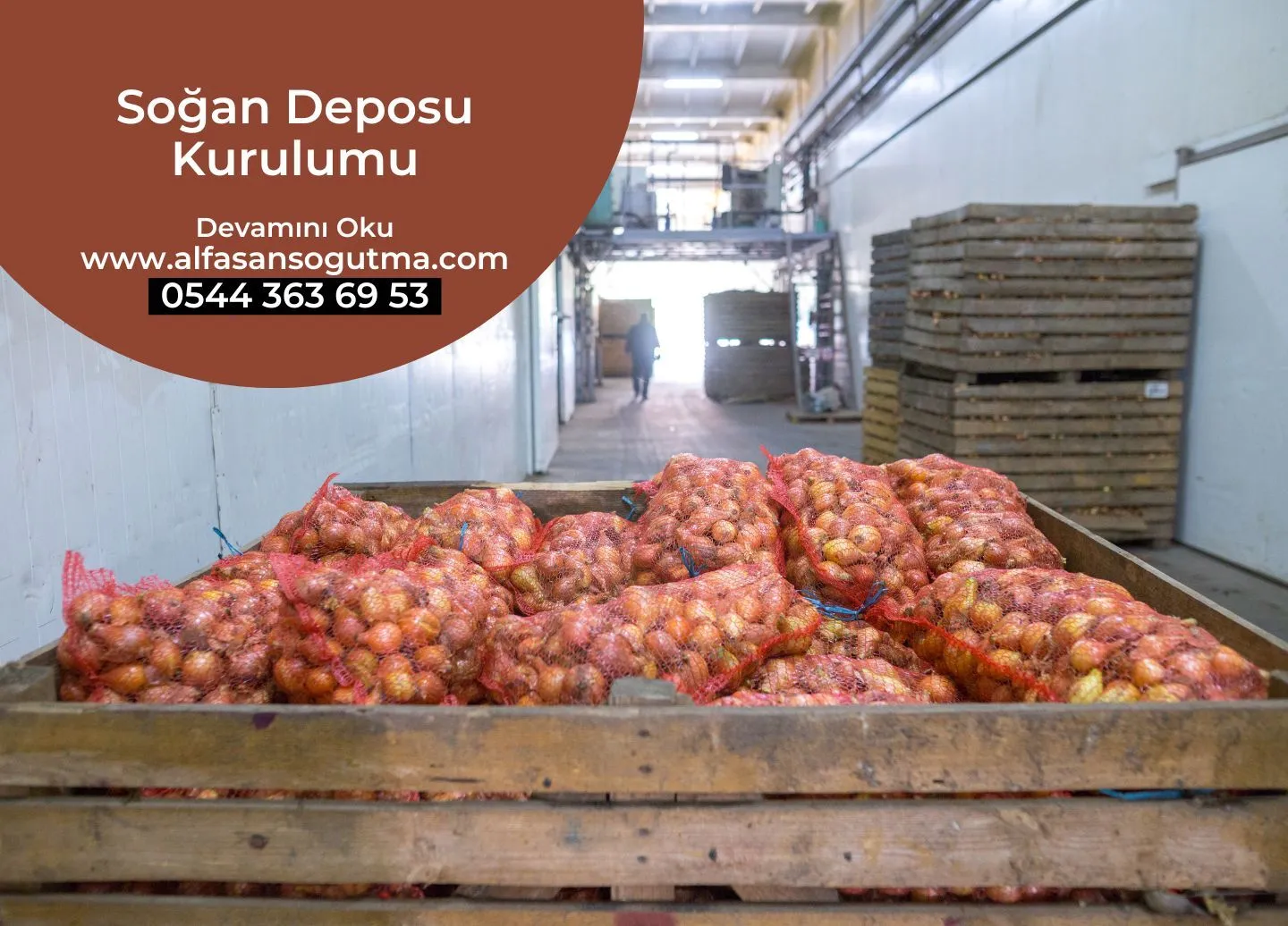 Soğan Deposu Kurulumu