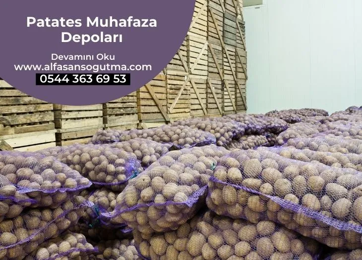 Patates Muhafaza Depoları