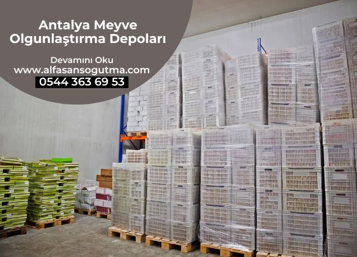 Antalya Meyve Olgunlaştırma Depoları