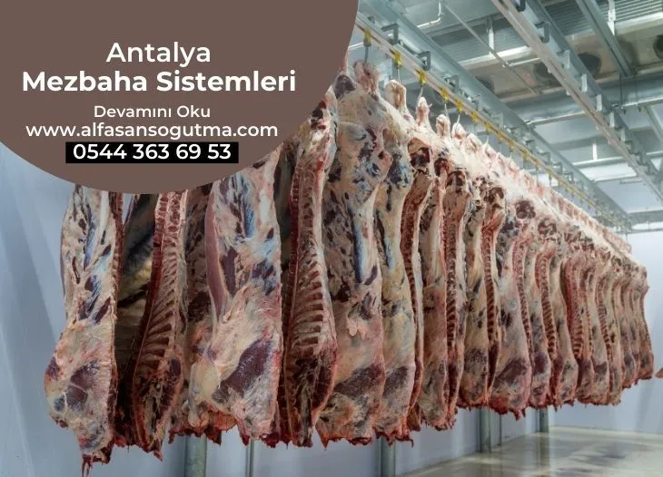 Antalya Mezbaha Sistemleri