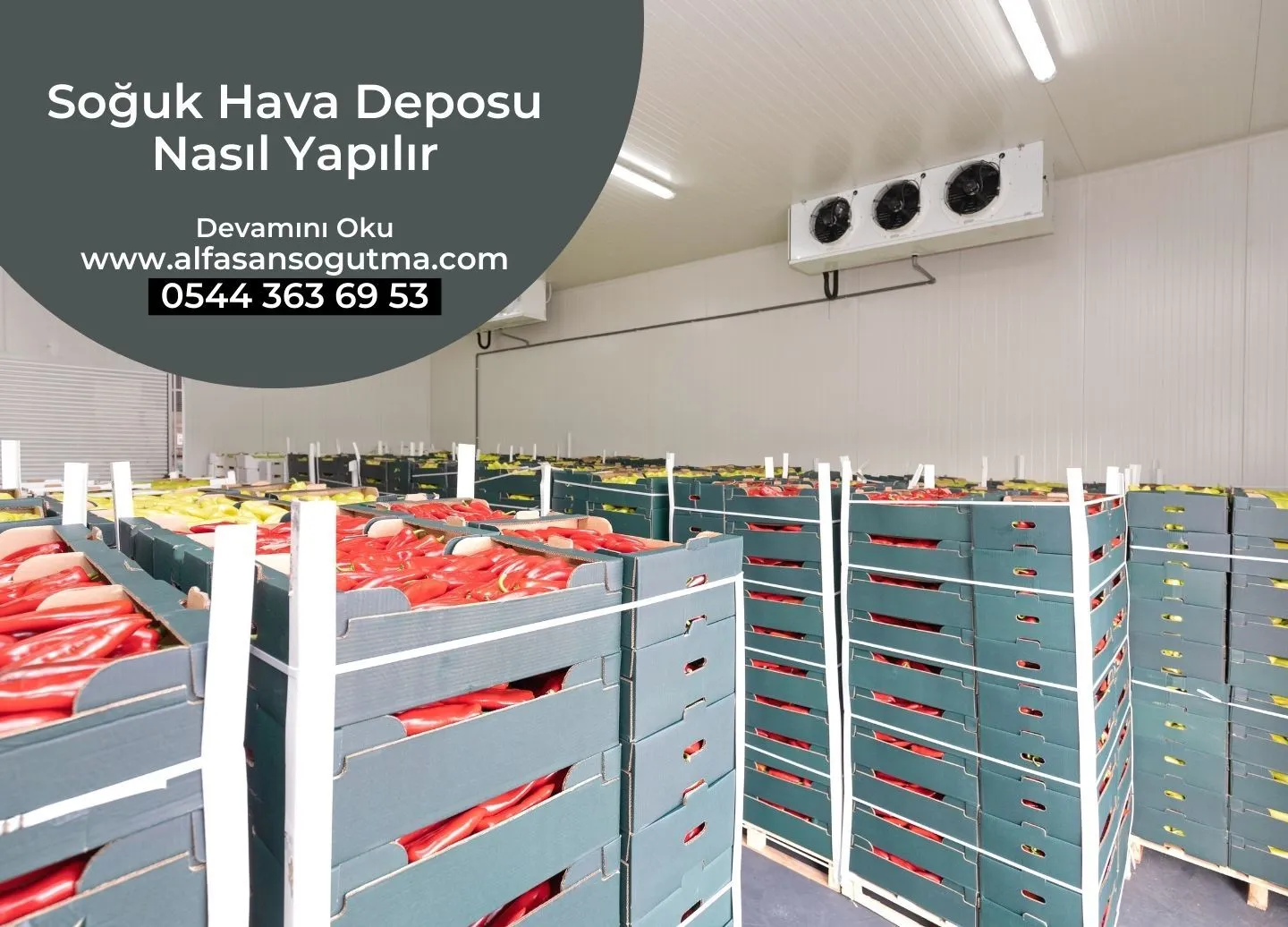 Soğuk Hava Deposu Nasıl Yapılır?