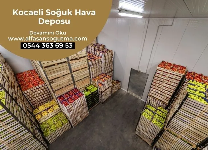 Kocaeli Soğuk Hava Deposu