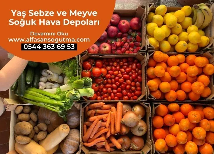 Yaş Sebze ve Meyve Soğuk Hava Depoları